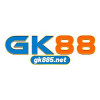 Picture of GK88 net