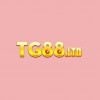 Imagem de Tg88 Ltd