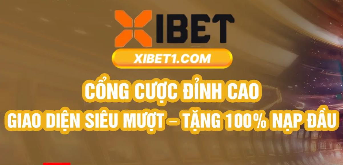 Anexo XIBET.png